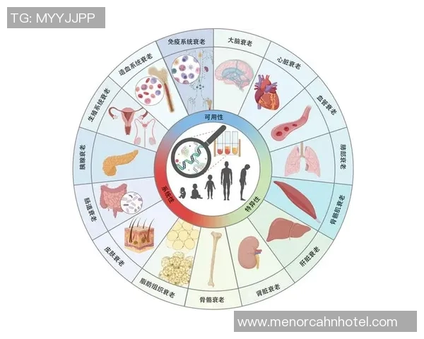 V5在冠军杯中的状态分析与表现评估全方位解读
