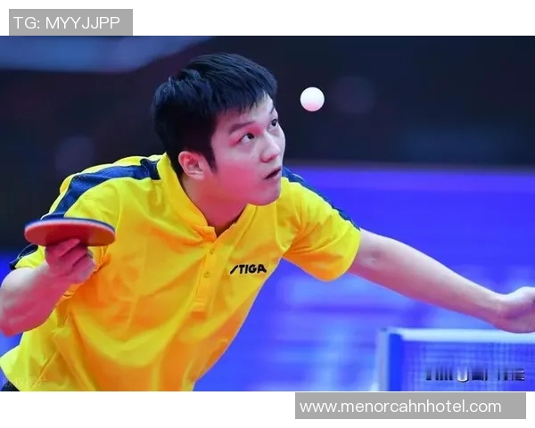 与赵军畅谈乒乓球生涯的辉煌与挑战之路