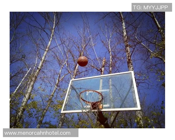 对话吴娜：从球场到人生的启示与篮球生涯的精彩瞬间