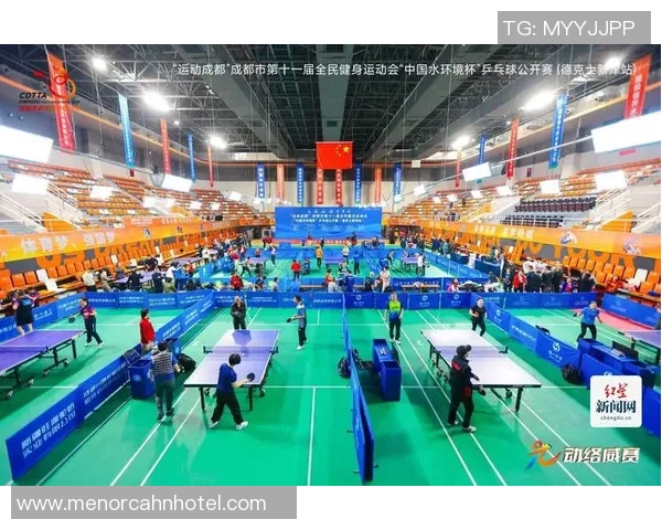 成都乒乓球队状态对比深度剖析与未来发展趋势探讨