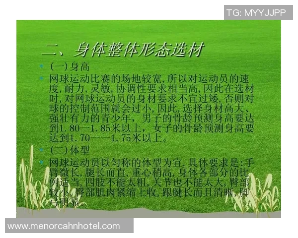 西安网球队耐力训练揭秘：提升竞技水平的关键因素与技巧分析