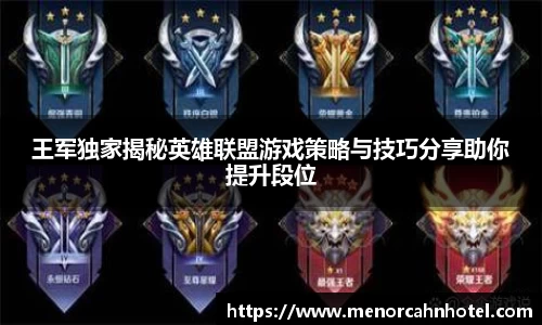 DB旗舰官网